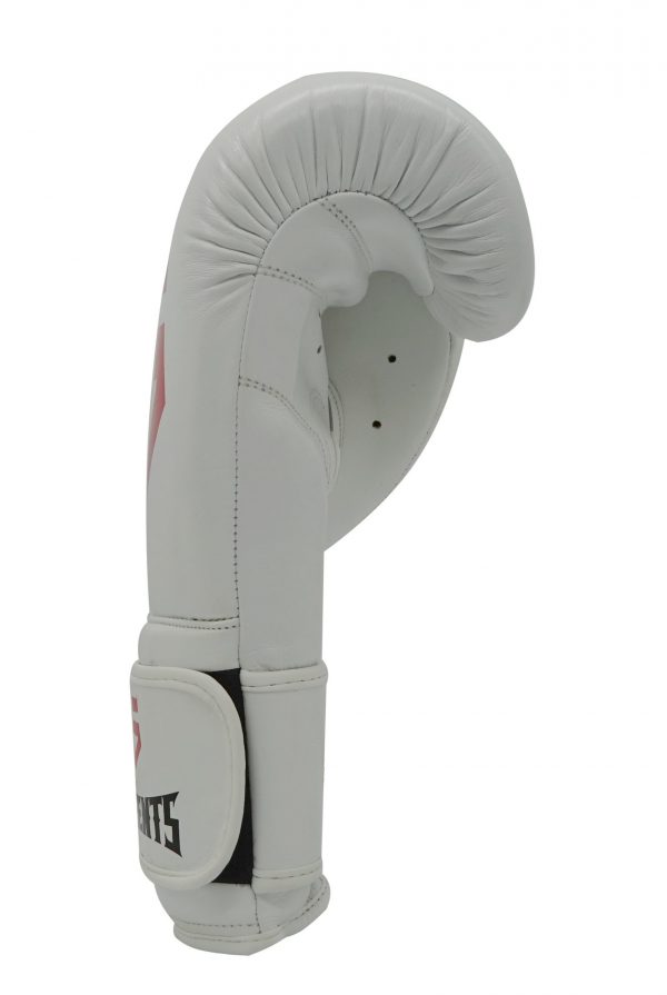 5 Elements Rote Kraft Boxhandschuh