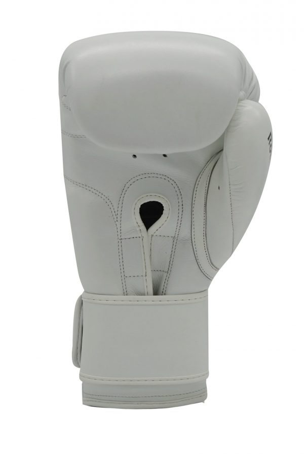 5 Elements Rote Kraft Boxhandschuh